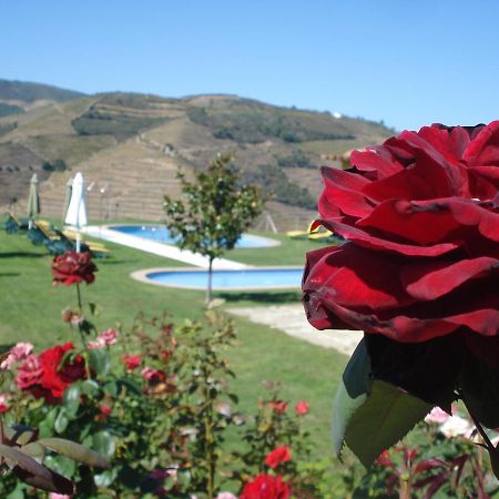 Hotel Rural Da Quinta Do Silval Vale de Mendiz Eksteriør bilde