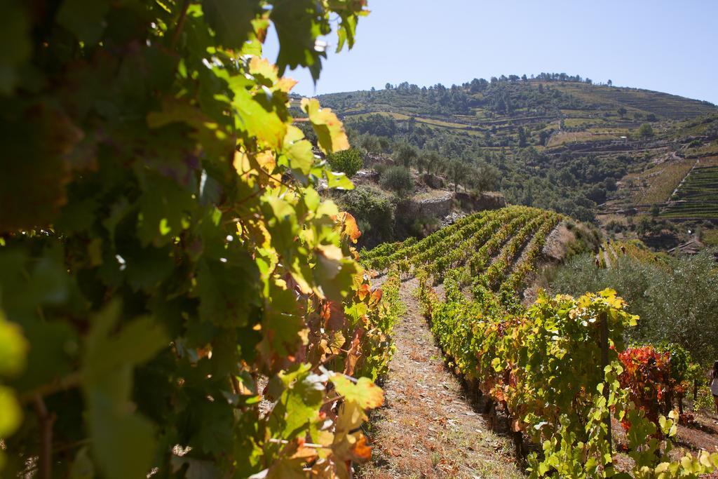 Hotel Rural Da Quinta Do Silval Vale de Mendiz Eksteriør bilde