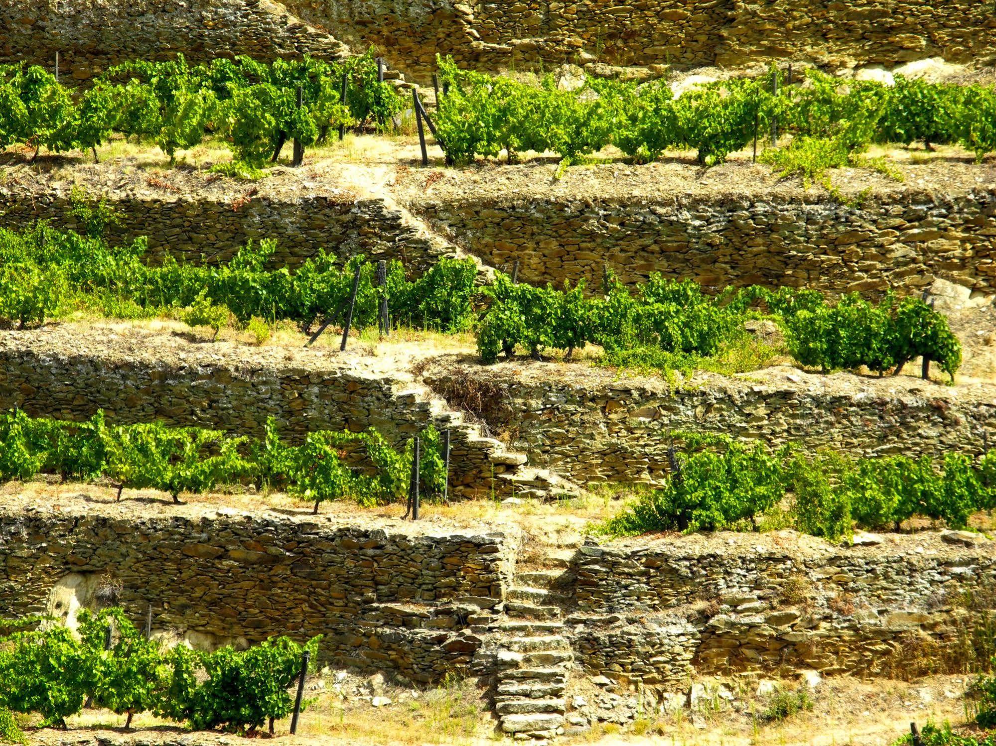 Hotel Rural Da Quinta Do Silval Vale de Mendiz Eksteriør bilde